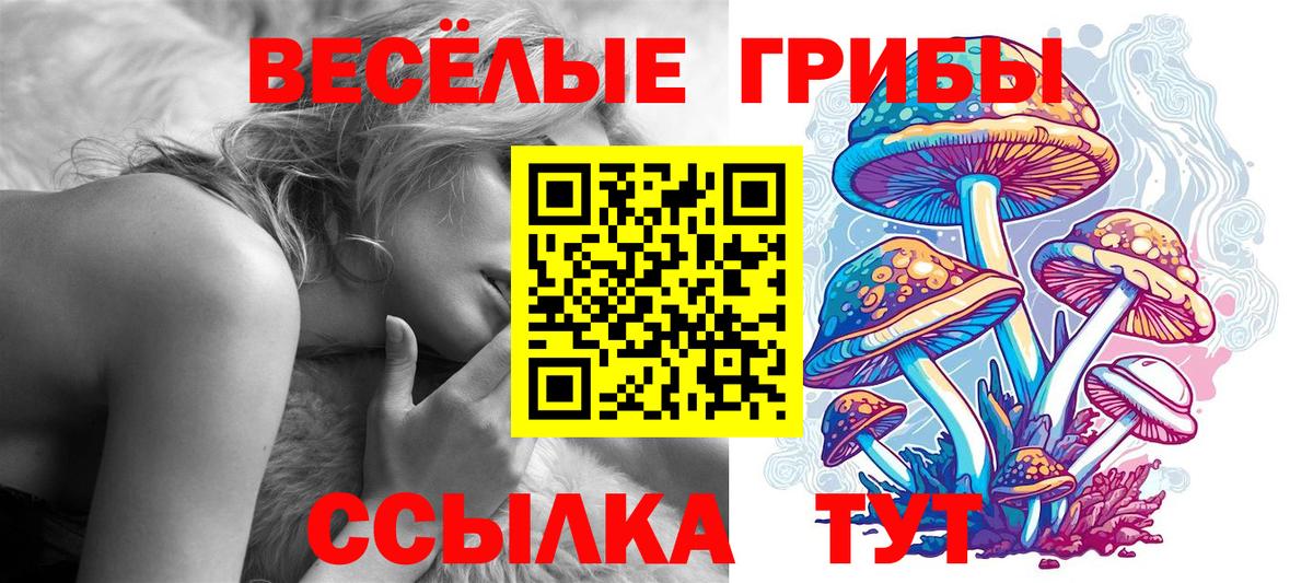 Псилоцибиновые грибы Psilocybe Азов