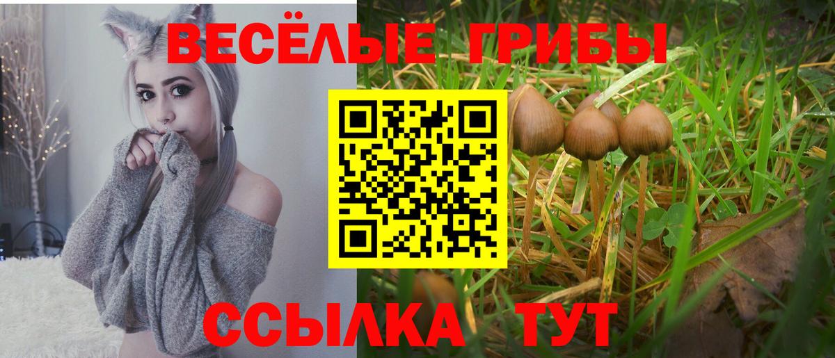 Азов  Галлюциногенные грибы Psilocybine cubensis  Галлюциногенные грибы GOLDEN TEACHER  Вход с VPN 